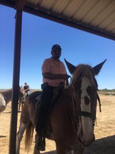 Horse ride 16